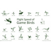 Game Birds Placemat