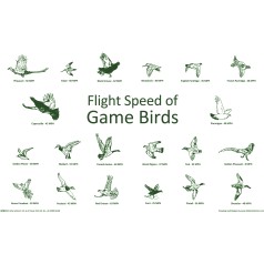 Game Birds Placemat Game Birds Placemat