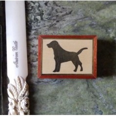 Secret Box - Black Labrador Secret Box - Black Labrador